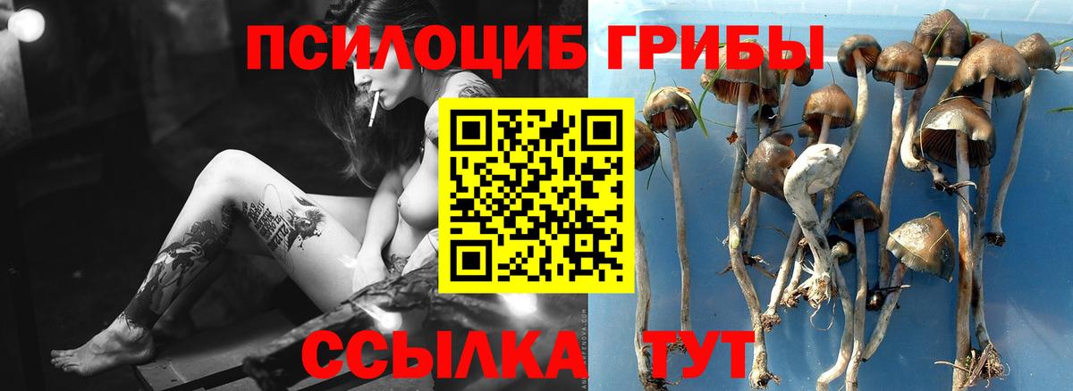 Гашиш  МАРИХУАНА  Ишим  COCAIN  Вход с VPN  МЕФ кристаллы  Кодеин 
