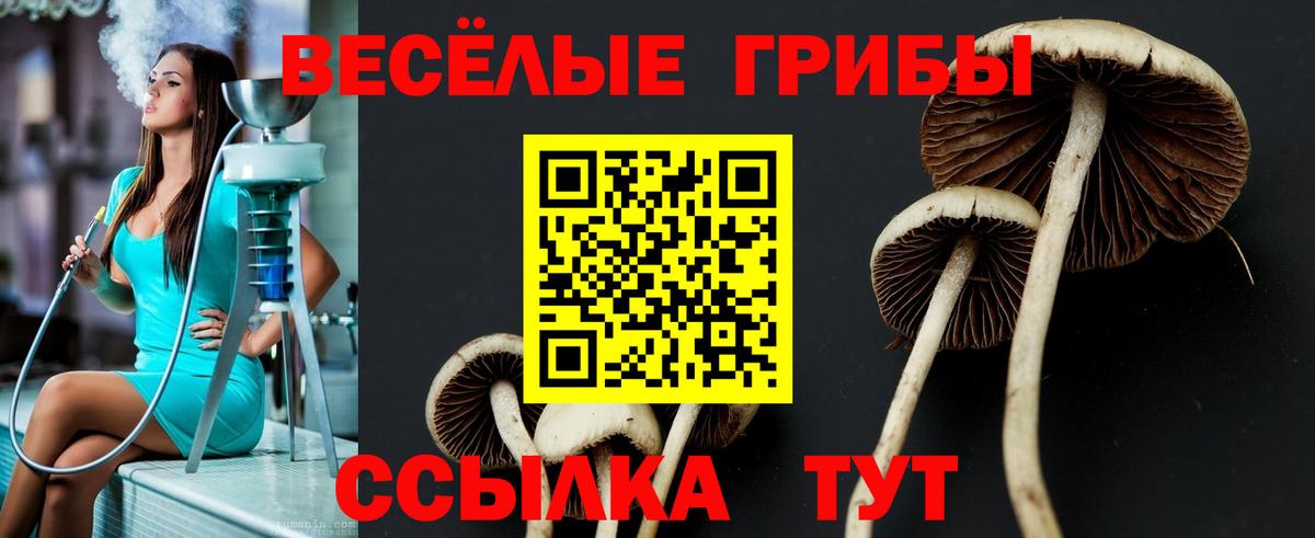 Ишим  Псилоцибиновые грибы прущие грибы  Вход с VPN  Галлюциногенные грибы прущие грибы 