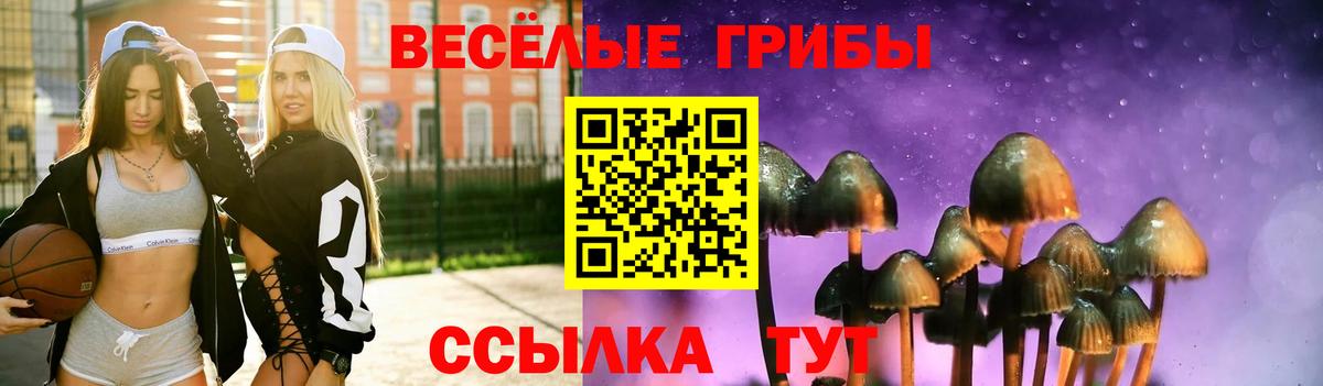 Галлюциногенные грибы прущие грибы Ишим